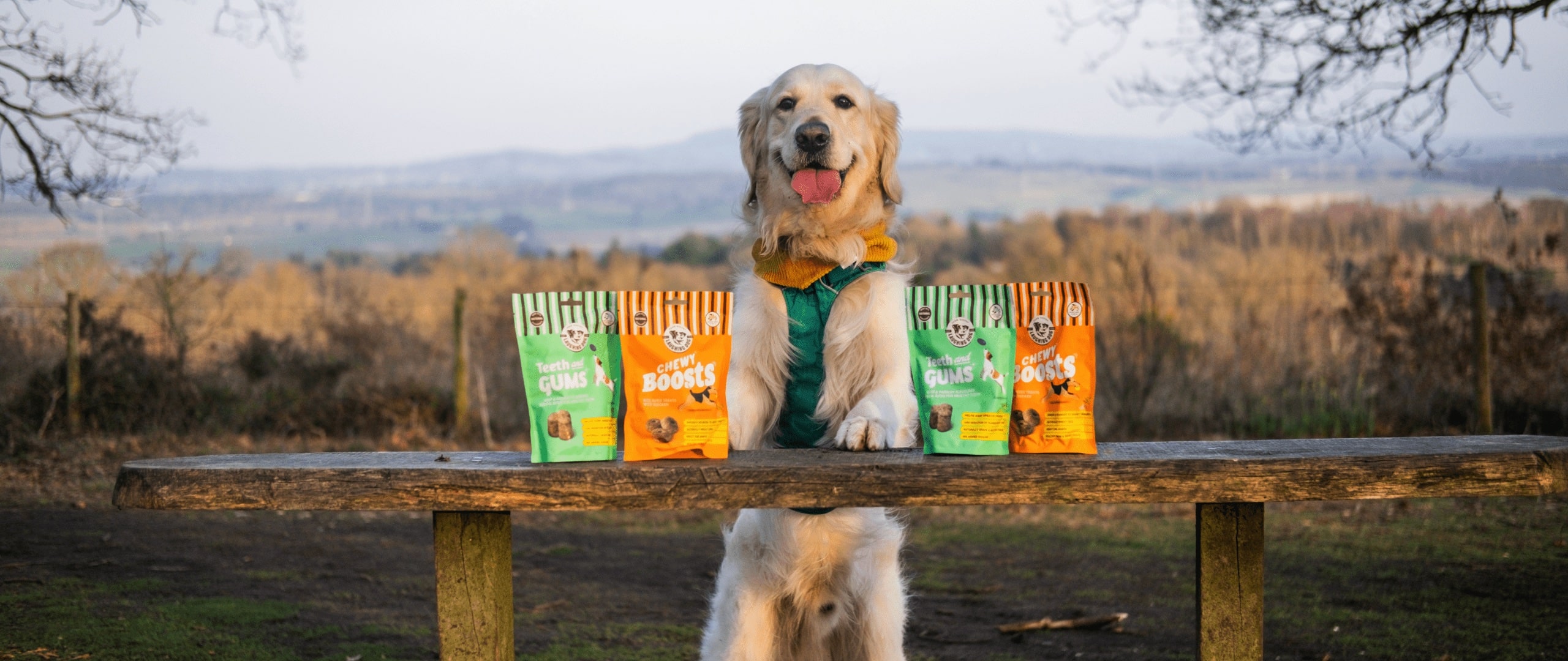 New Treats min | Laughing Dog Food