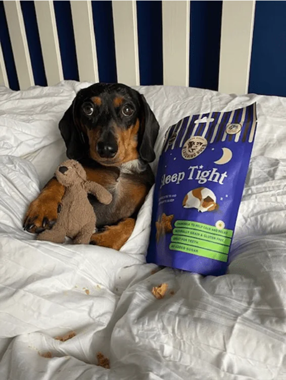 Sleep Tight dog in bed 1 | Laughing Dog Food